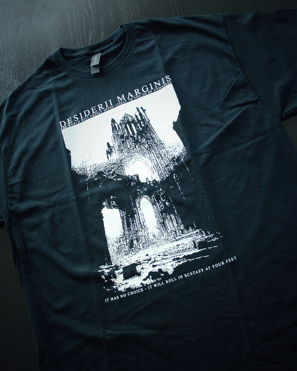 Desiderii Marginis "The world will offer itself", official merchandise - T-shirt