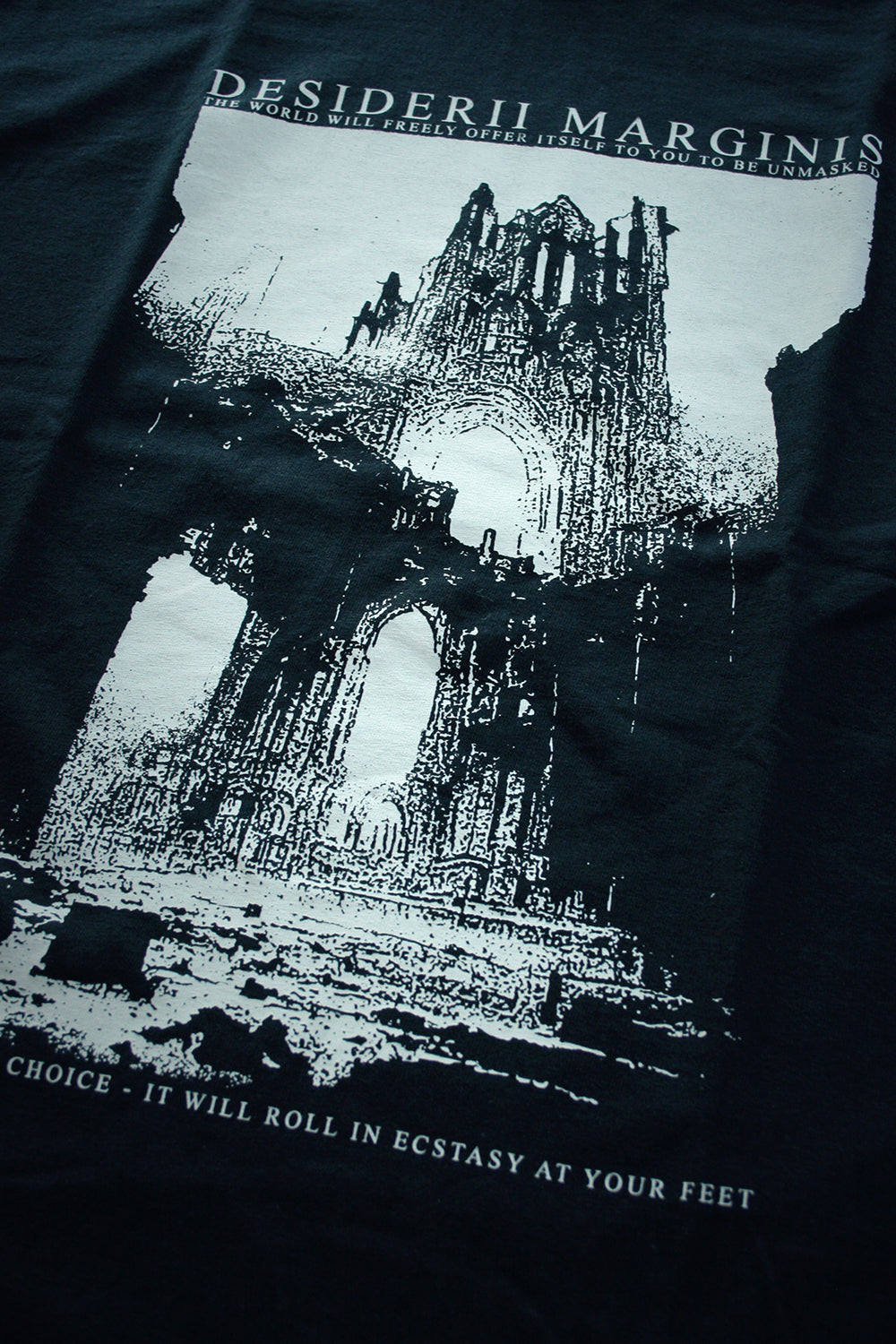 Desiderii Marginis "The world will offer itself", official merchandise - T-shirt