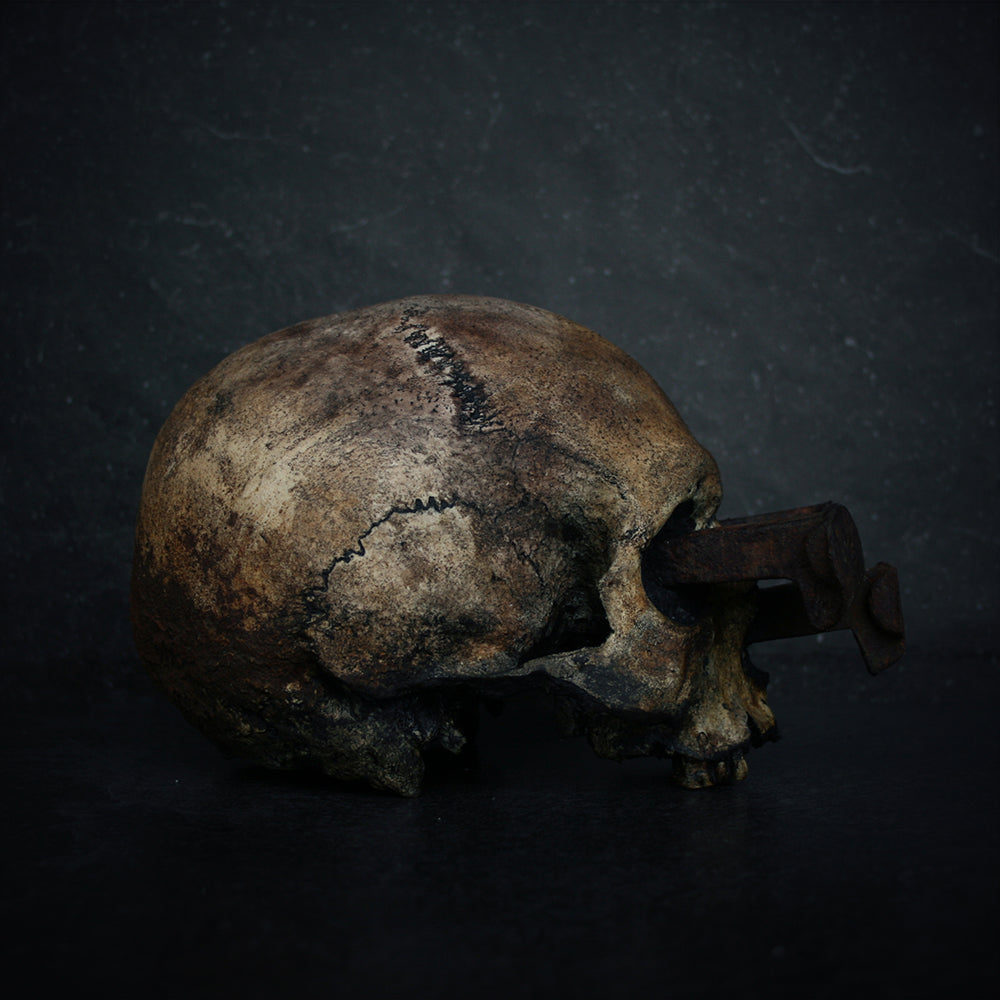 Skull mixed media sculpture "Rust nail v" - SCULPTURE