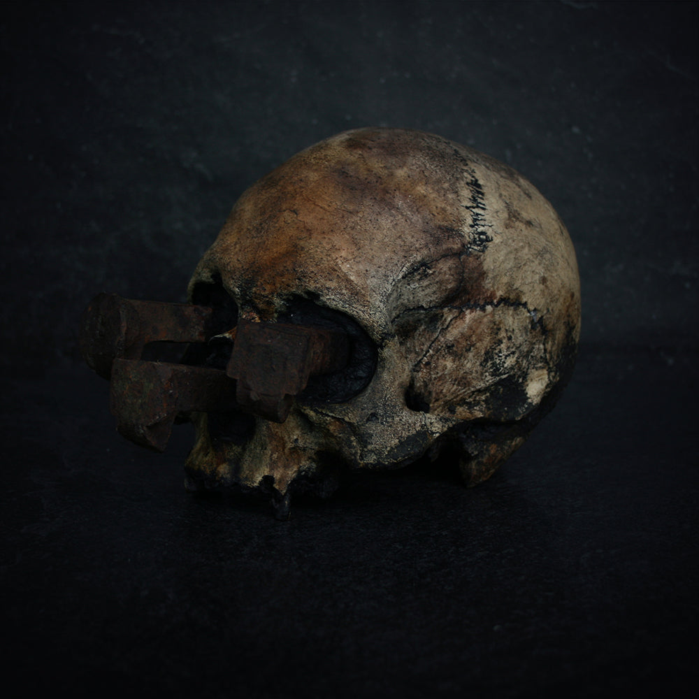 Skull mixed media sculpture "Rust nail v" - SCULPTURE