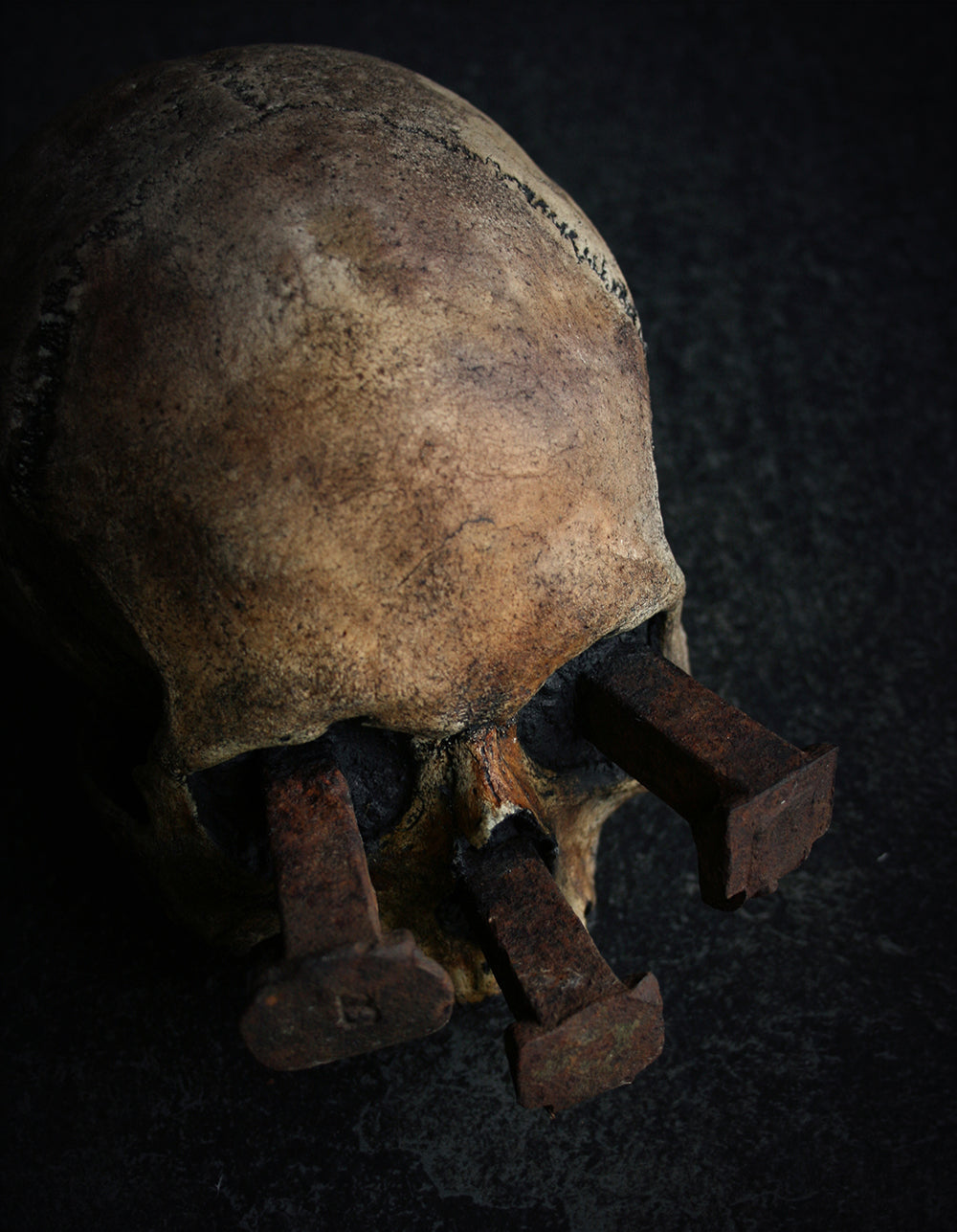 Skull mixed media sculpture "Rust nail v" - SCULPTURE