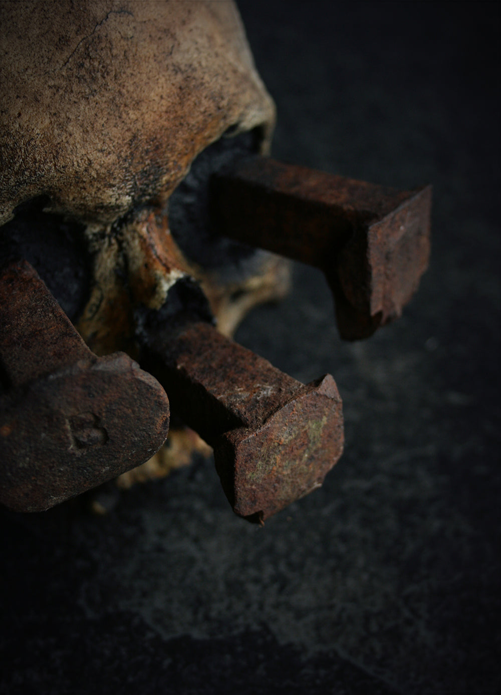 Skull mixed media sculpture "Rust nail v" - SCULPTURE