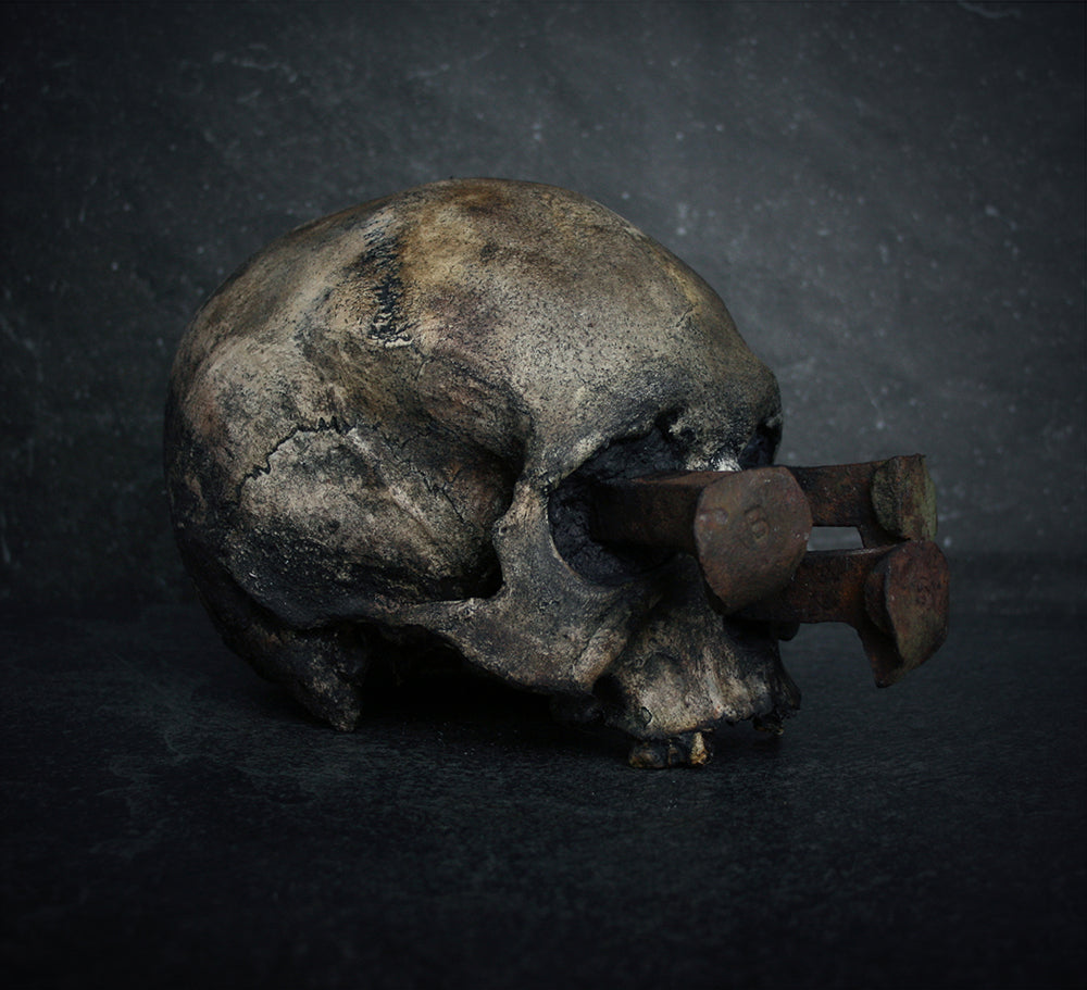 Skull mixed media sculpture "Rust nail vi" - SCULPTURE