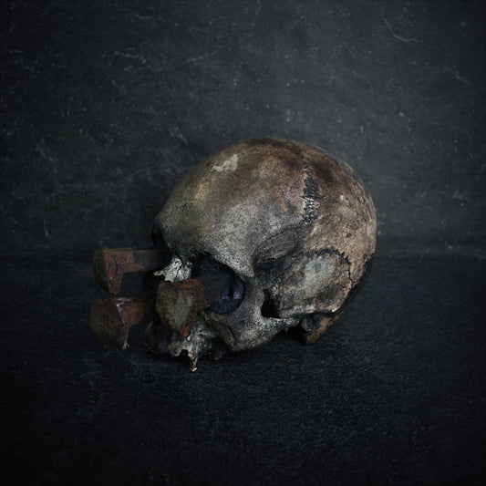 Skull mixed media sculpture "Rust nail vi" - SCULPTURE