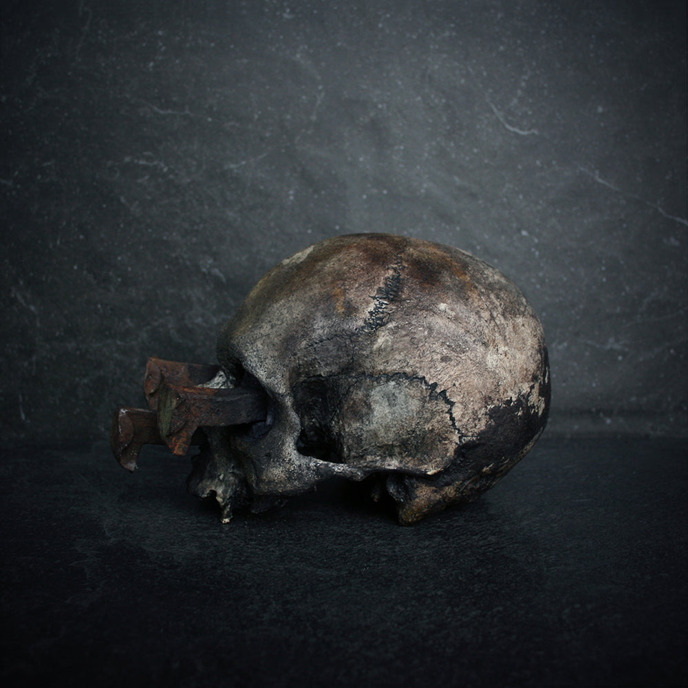 Skull mixed media sculpture "Rust nail vi" - SCULPTURE