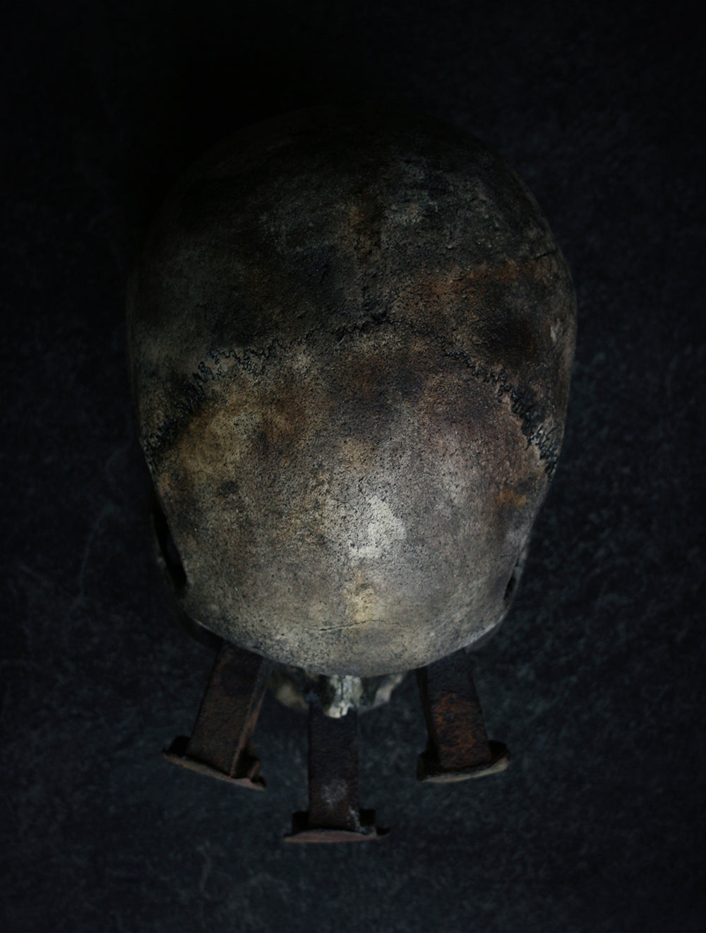 Skull mixed media sculpture "Rust nail vi" - SCULPTURE