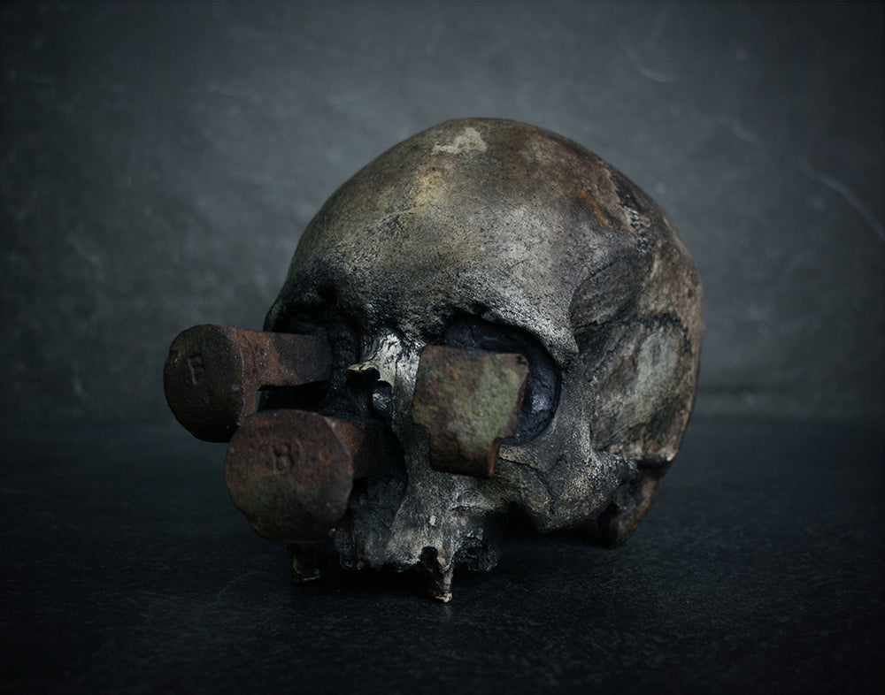 Skull mixed media sculpture "Rust nail vi" - SCULPTURE