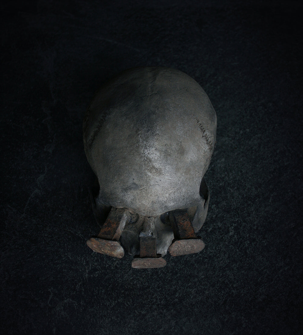 Skull mixed media sculpture "Rust nail vii" - SCULPTURE