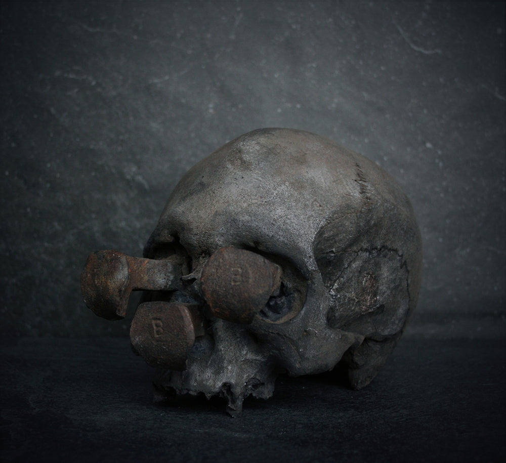 Skull mixed media sculpture "Rust nail vii" - SCULPTURE