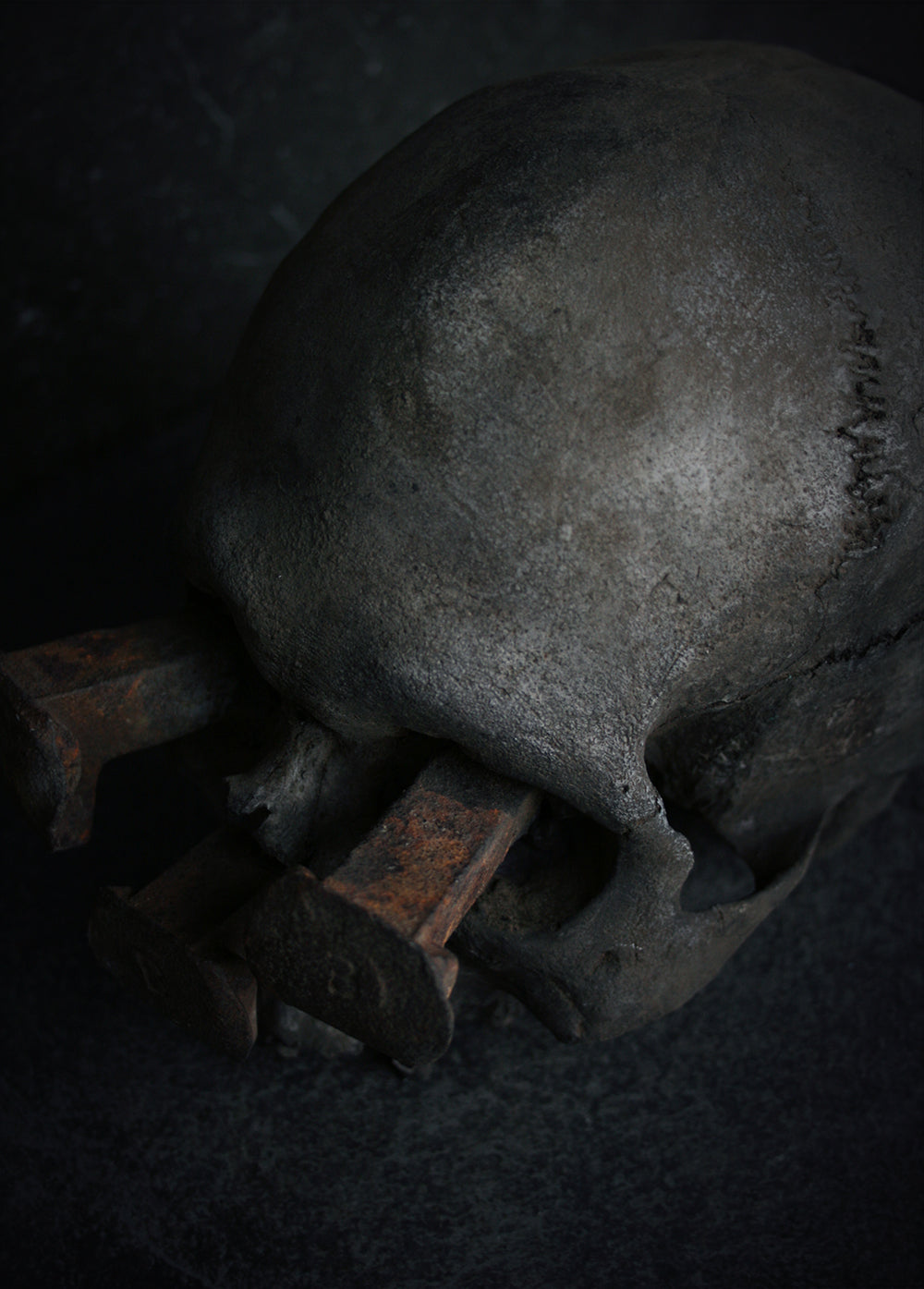 Skull mixed media sculpture "Rust nail vii" - SCULPTURE