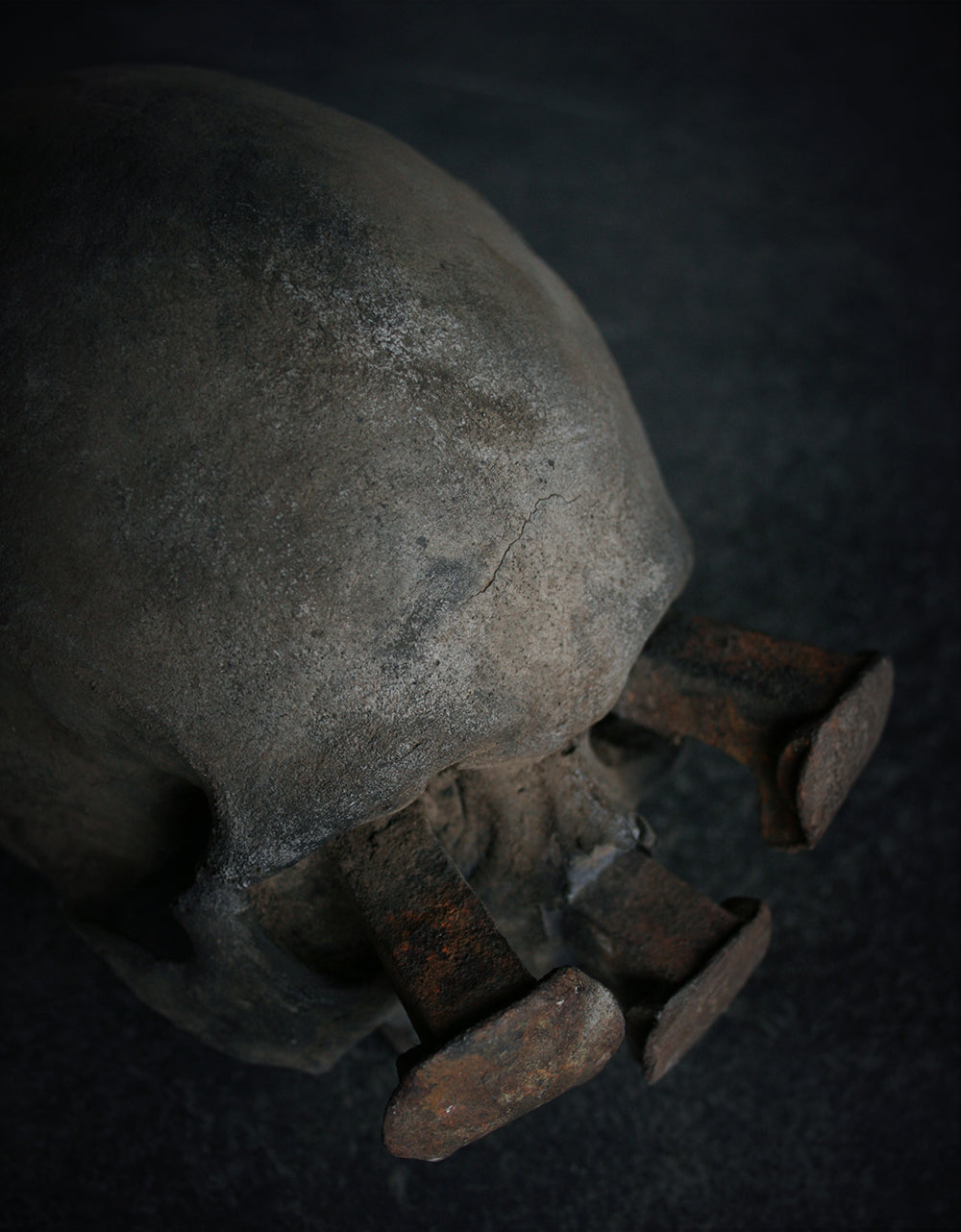 Skull mixed media sculpture "Rust nail vii" - SCULPTURE