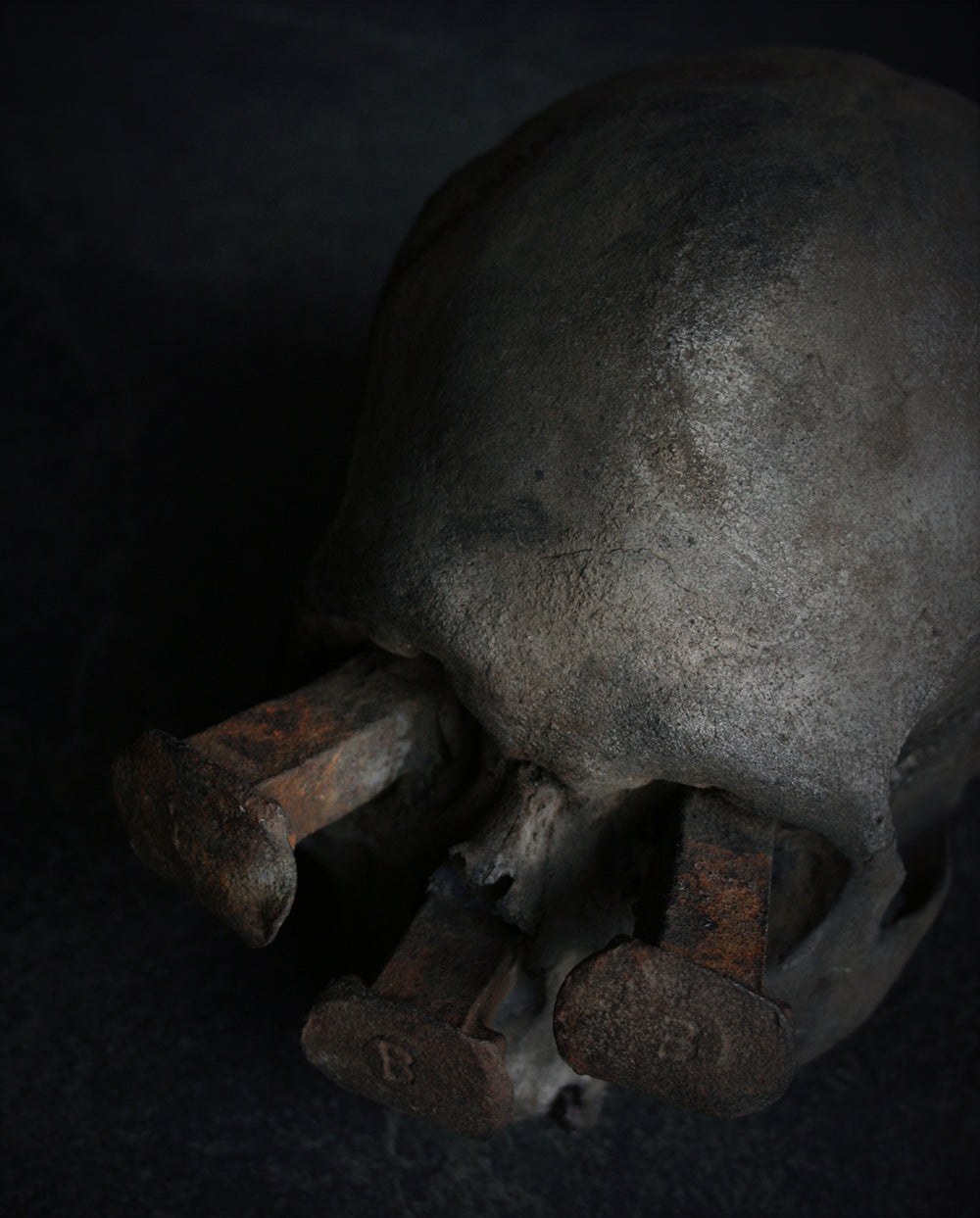 Skull mixed media sculpture "Rust nail vii" - SCULPTURE