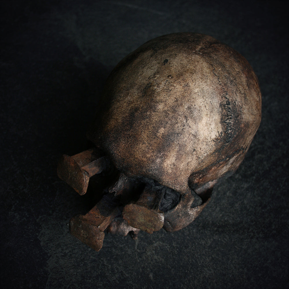 Skull mixed media sculpture "Rust nail viii" - SCULPTURE