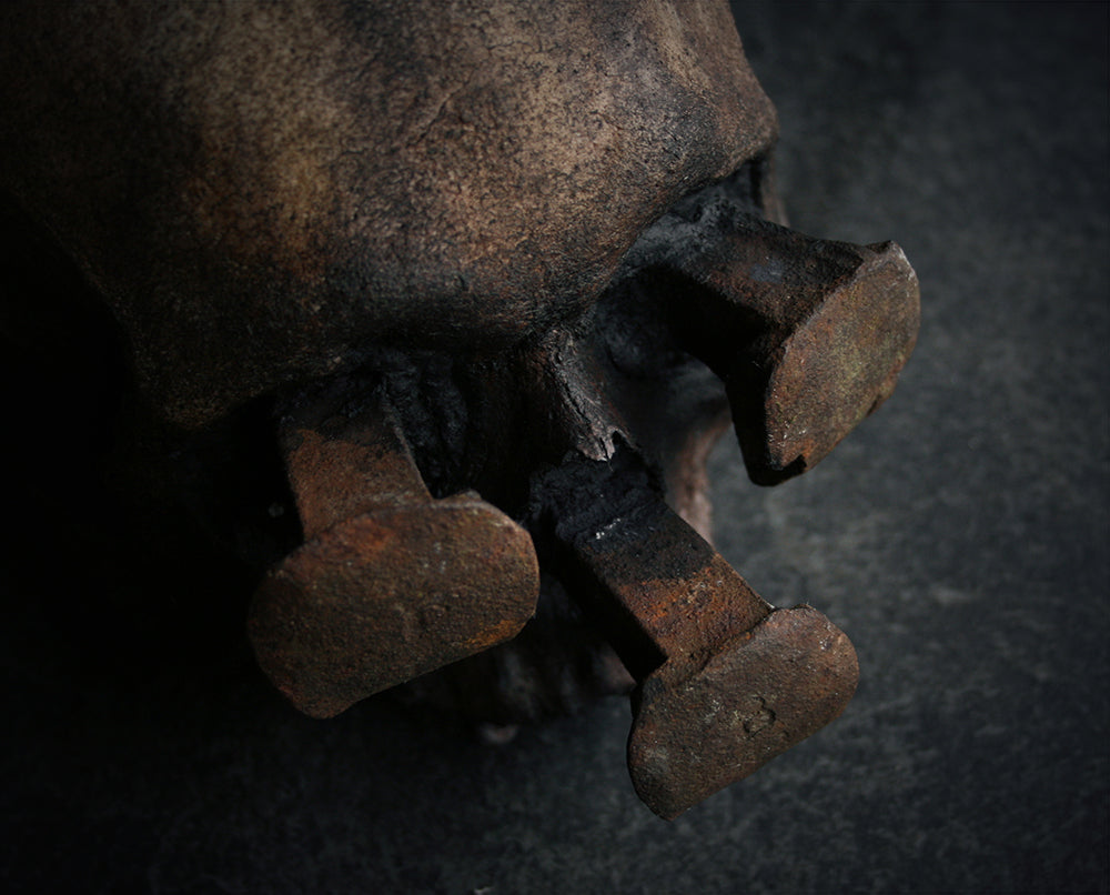 Skull mixed media sculpture "Rust nail viii" - SCULPTURE