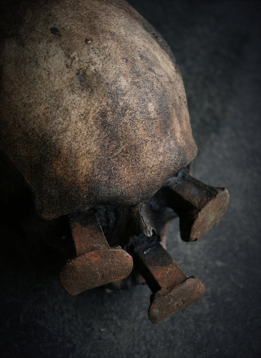 Skull mixed media sculpture "Rust nail viii" - SCULPTURE