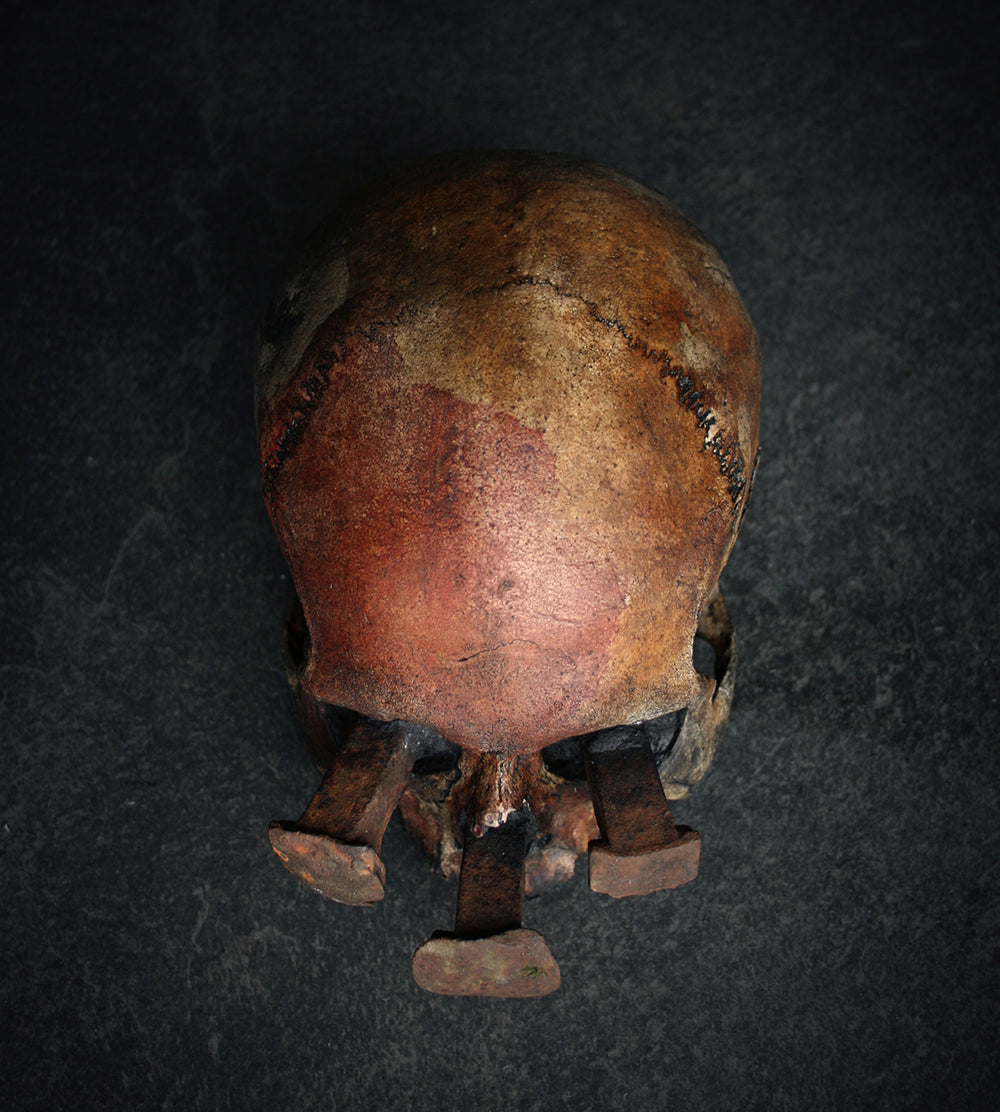 Skull mixed media sculpture "Rust nail viiii" - SCULPTURE