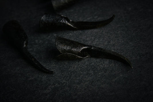 Handforged IRON CLAWS 22 mm inner diameter - RITUAL ITEM