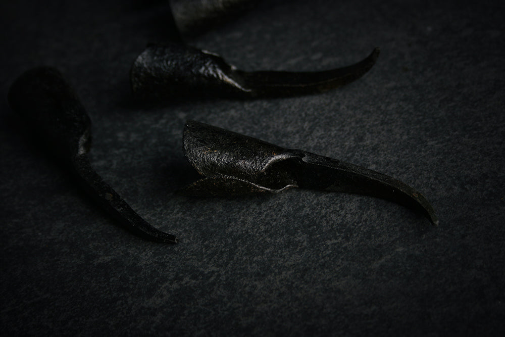 Handforged IRON CLAWS 20 mm inner diameter - RITUAL ITEM