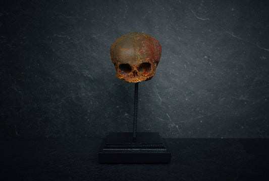 Sculpture "Fetal skull on piedestal" rust patina version - mixed media sculpture