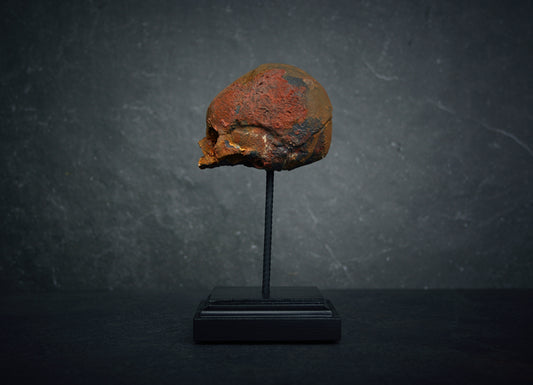 Sculpture "Fetal skull on piedestal" rust patina version - mixed media sculpture