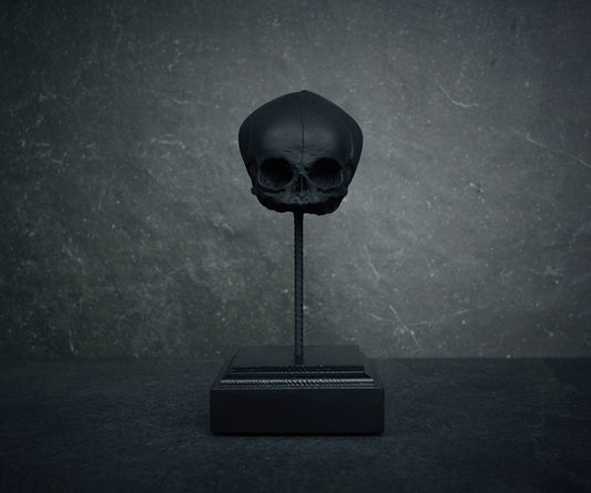Sculpture "Fetal skull on piedestal" matte black patina version - mixed media sculpture