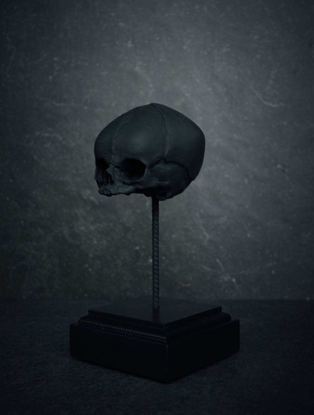 Sculpture "Fetal skull on piedestal" matte black patina version - mixed media sculpture