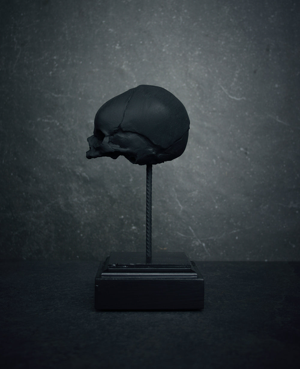 Sculpture "Fetal skull on piedestal" matte black patina version - mixed media sculpture