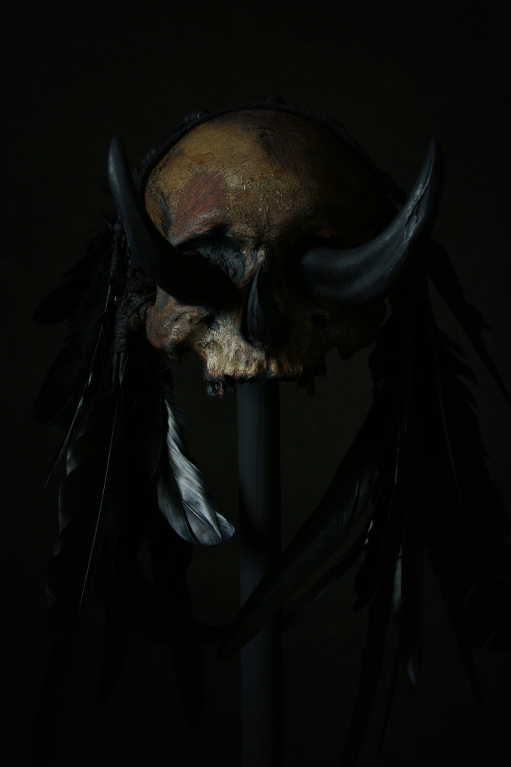 Skull mixed media sculpture "Black Chief 3-tusk" - SCULPTURE