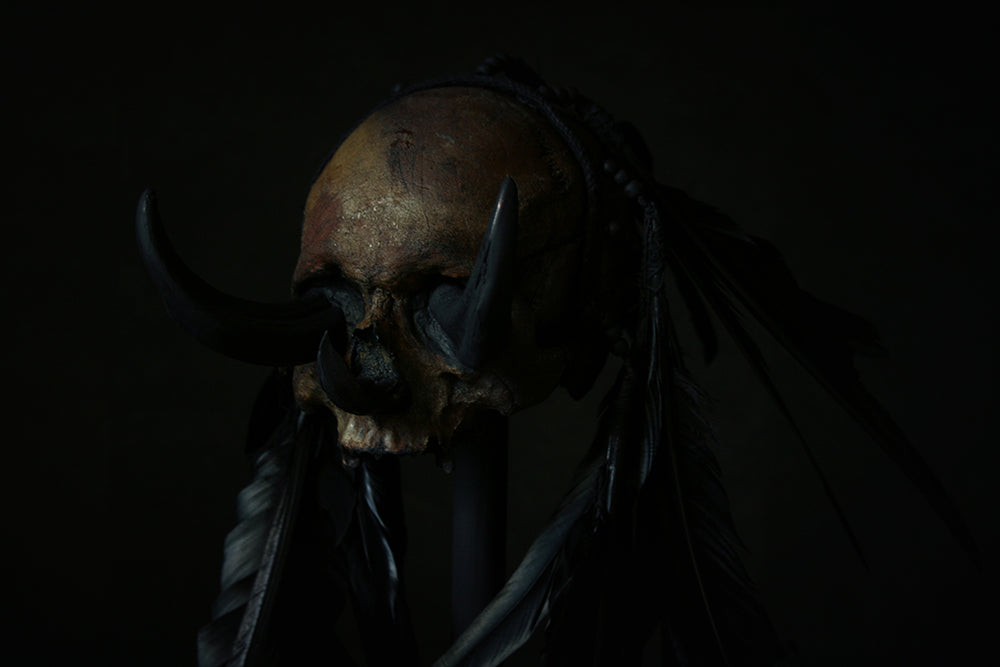 Skull mixed media sculpture "Black Chief 3-tusk" - SCULPTURE