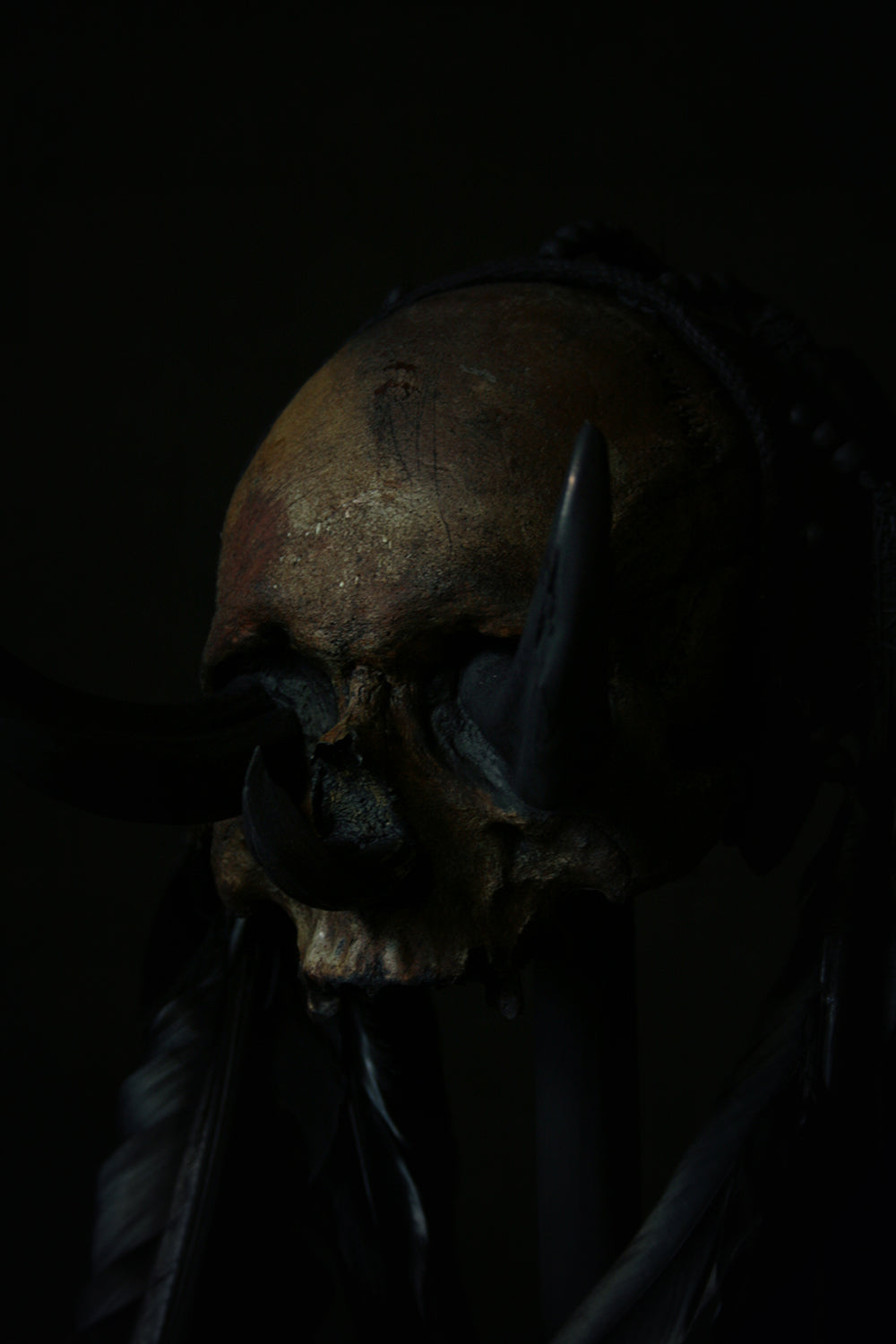 Skull mixed media sculpture "Black Chief 3-tusk" - SCULPTURE