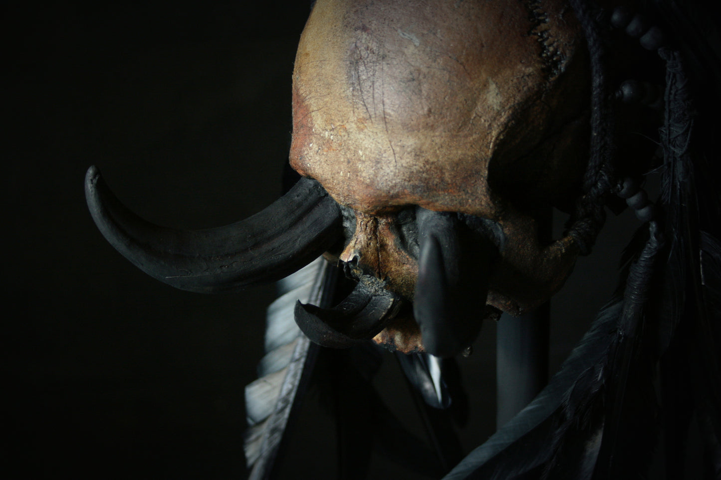 Skull mixed media sculpture "Black Chief 3-tusk" - SCULPTURE