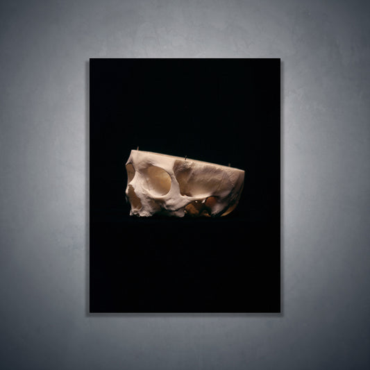 Cut skull, real human skull photography - Art print