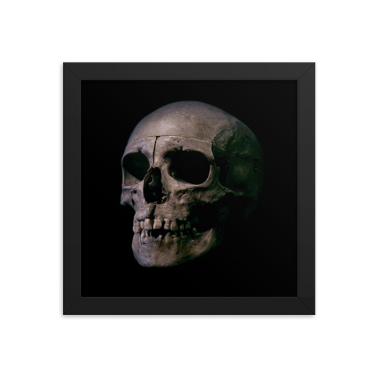 Human skull medical specimen side view - Square framed poster