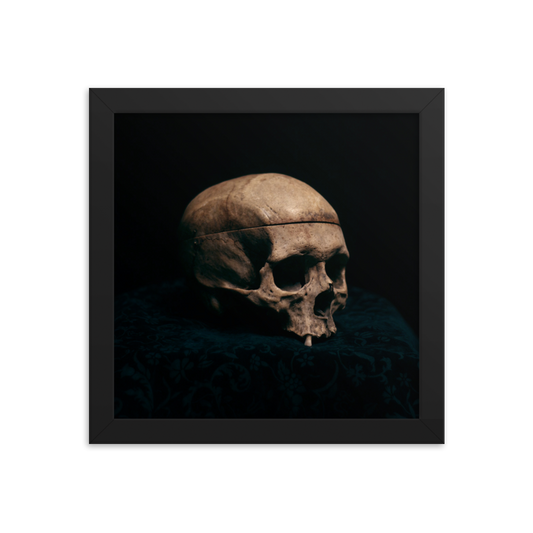 Still life skull, real human skull photography - Square framed poster