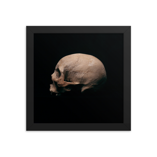 Side view left, real human skull photography - Square framed poster