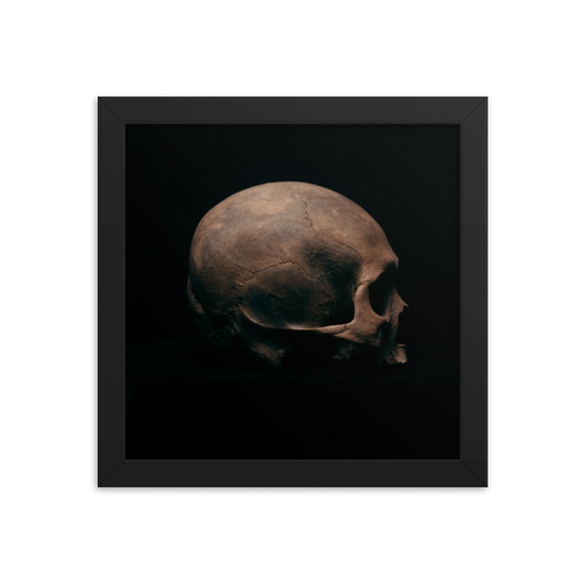 Side view right, real human skull photography - Square framed poster
