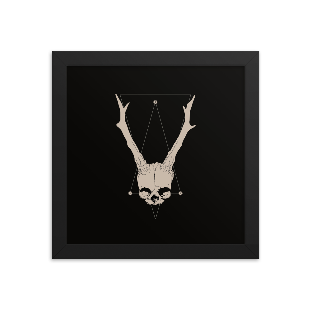 Horned fetal skull - Square framed poster