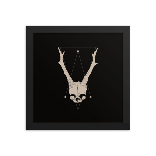 Horned fetal skull - Square framed poster