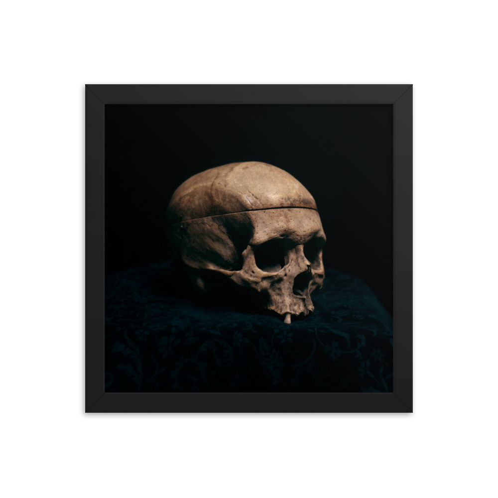 Still life skull, real human skull photography - Square framed poster