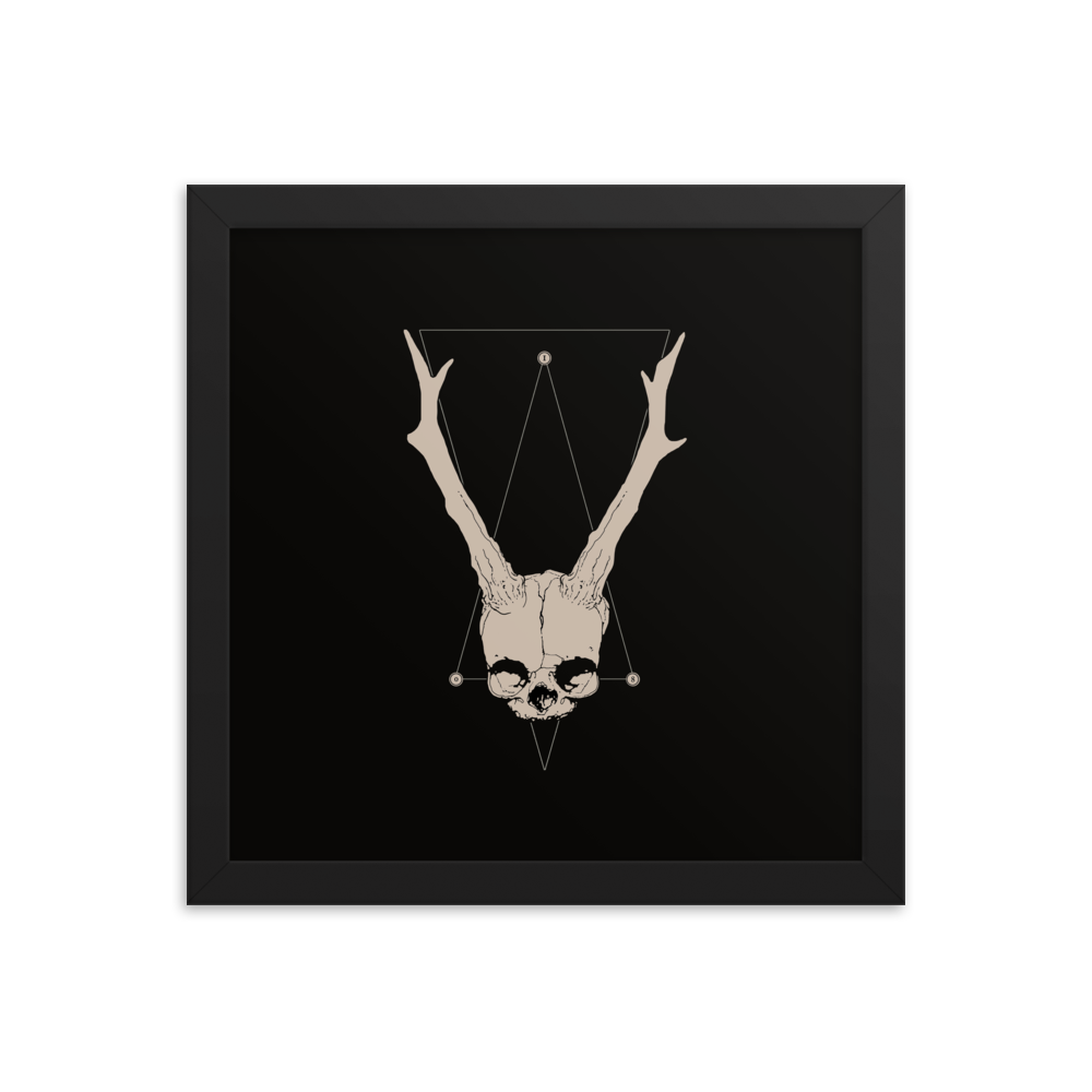 Horned fetal skull - Square framed poster