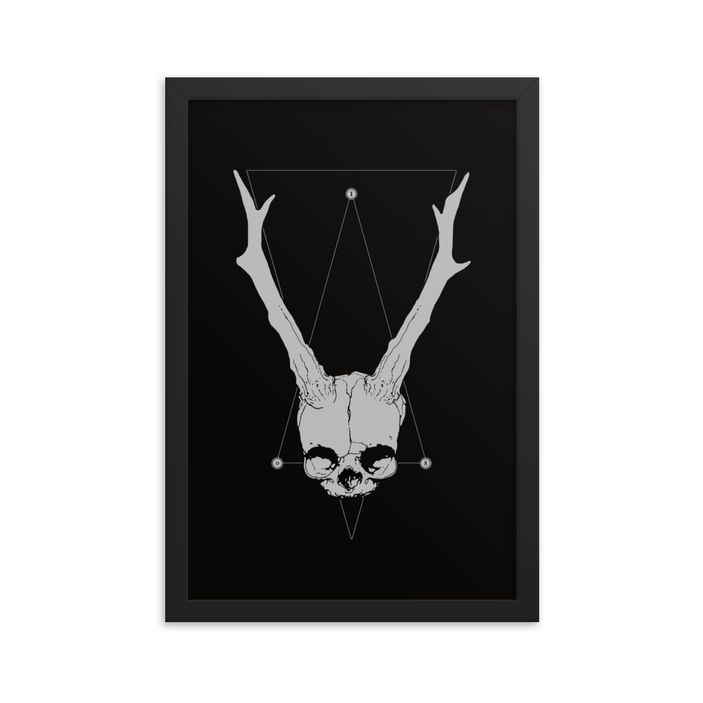 Horned fetal skull - Framed poster