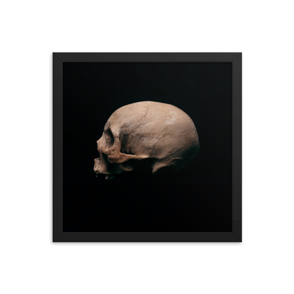 Side view left, real human skull photography - Square framed poster