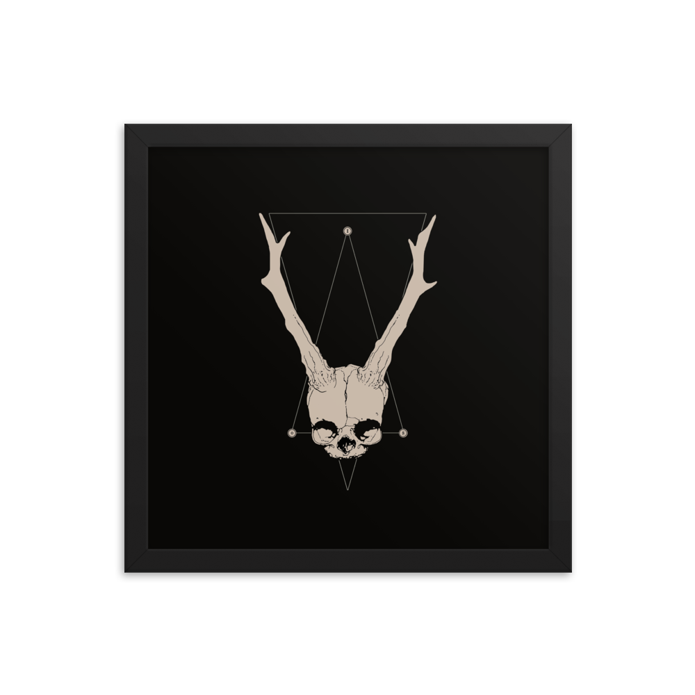 Horned fetal skull - Square framed poster