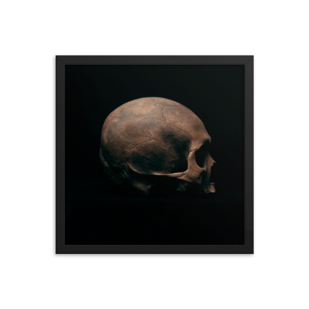 Side view right, real human skull photography - Square framed poster