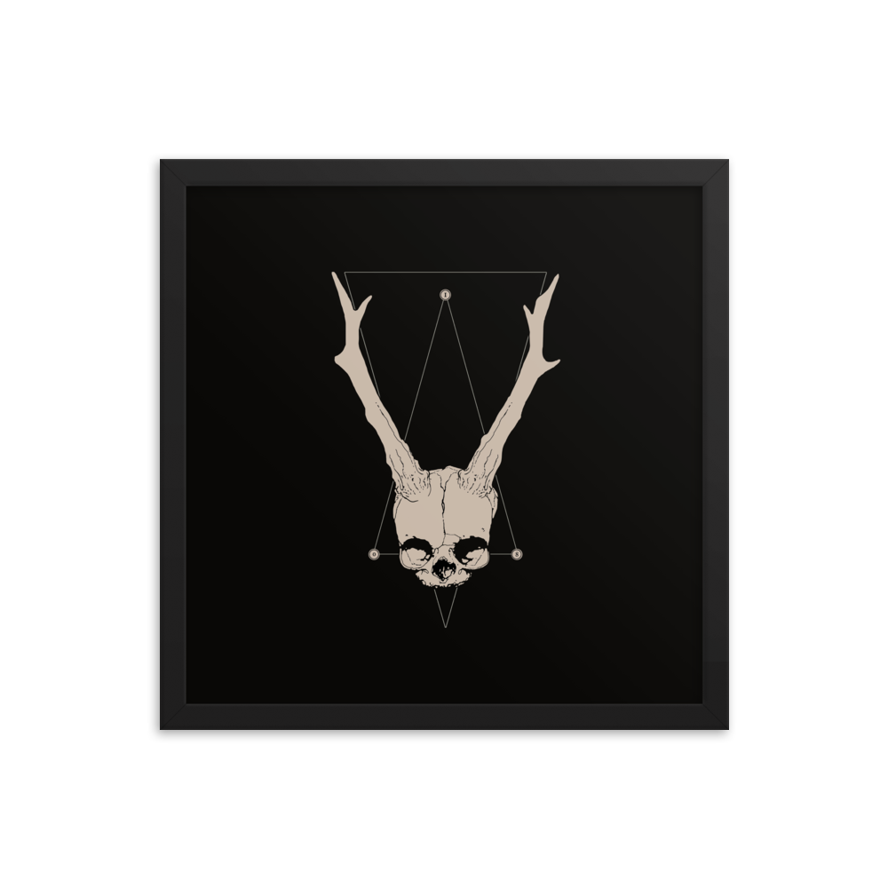 Horned fetal skull - Square framed poster