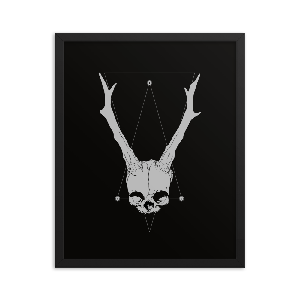 Horned fetal skull - Framed poster