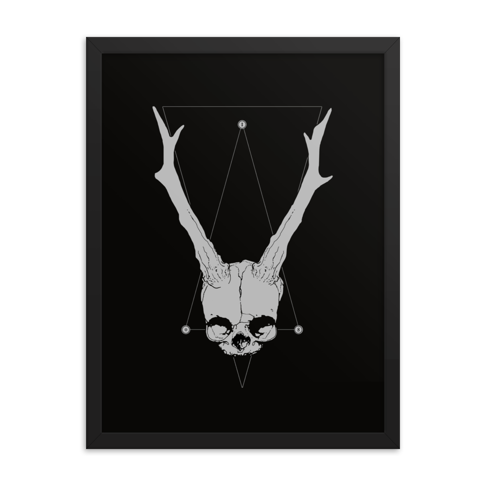 Horned fetal skull - Framed poster