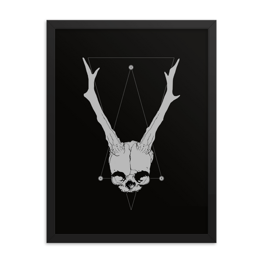 Horned fetal skull - Framed poster