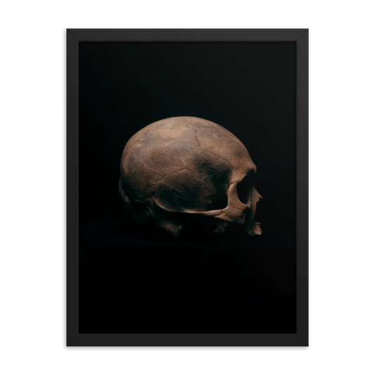 Side view right, real human skull photography - Framed poster