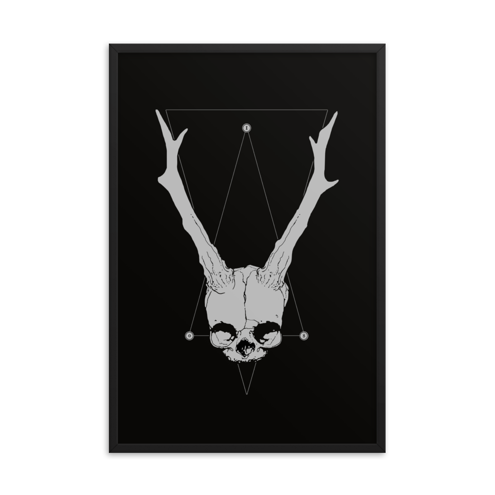 Horned fetal skull - Framed poster